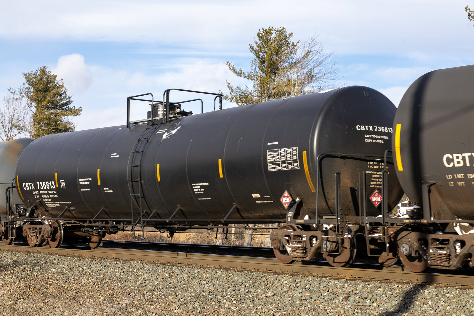 CBTX 736813