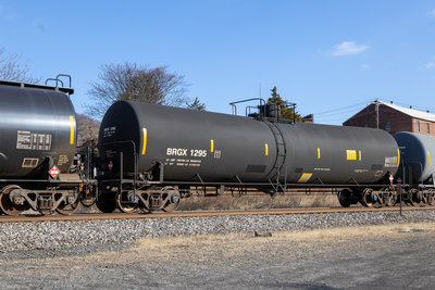 BRGX 1295