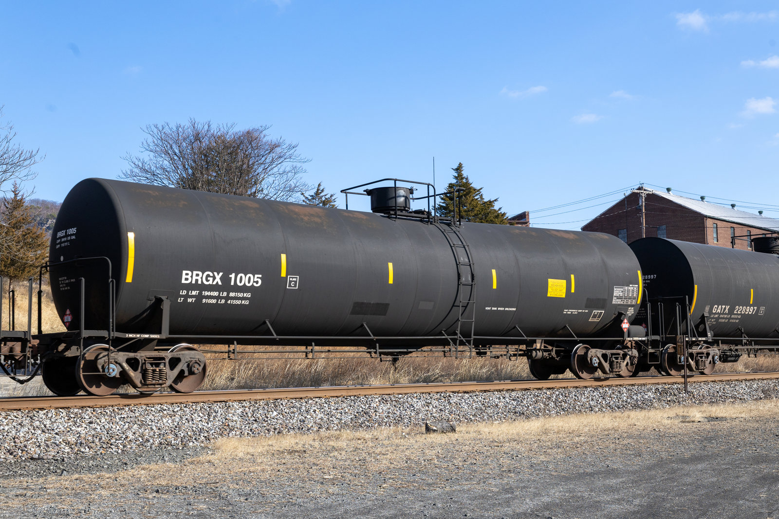 BRGX 1005