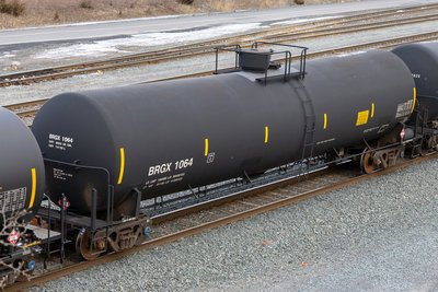 BRGX 1064