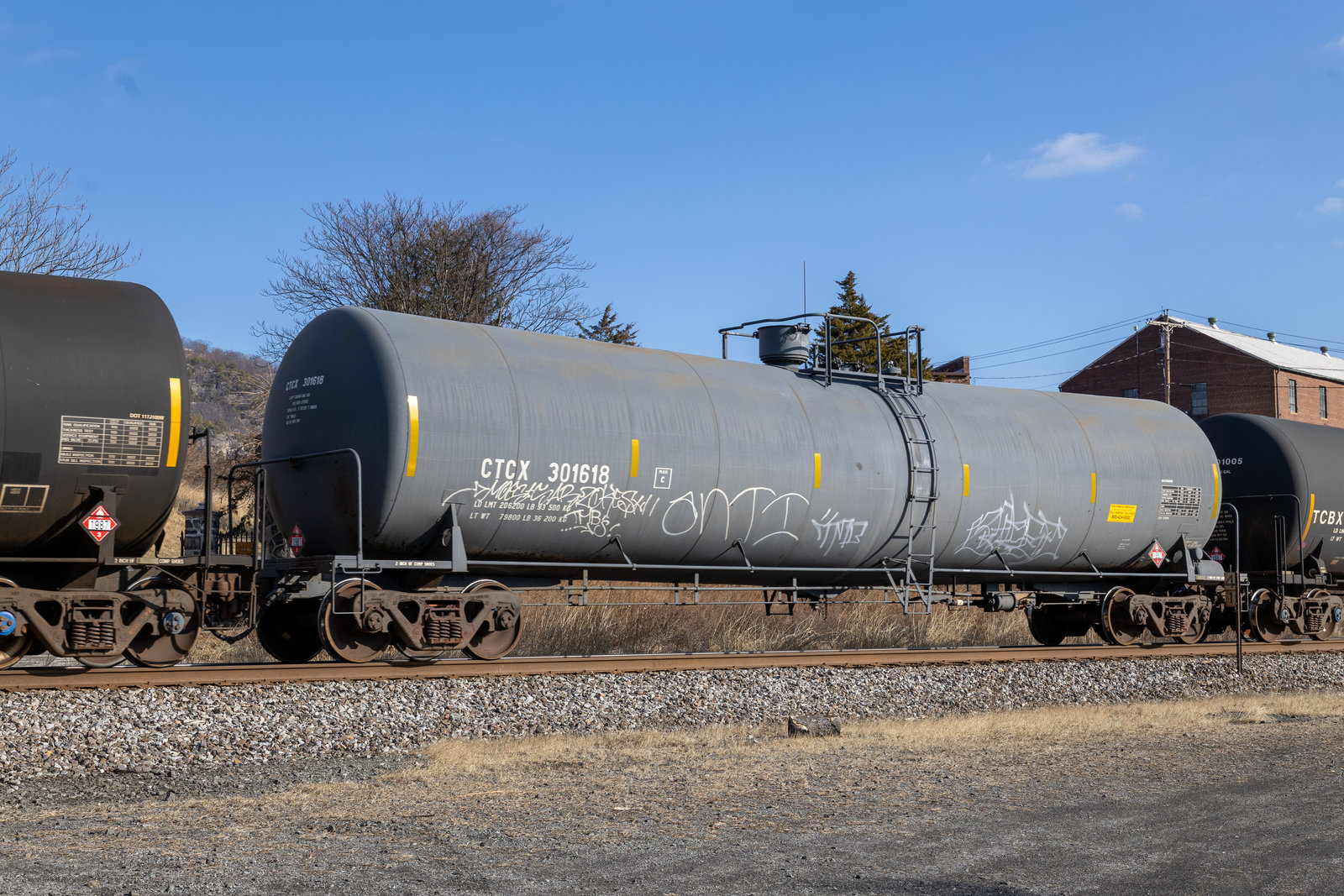 CTCX 301618