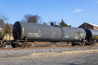CTCX 301084
