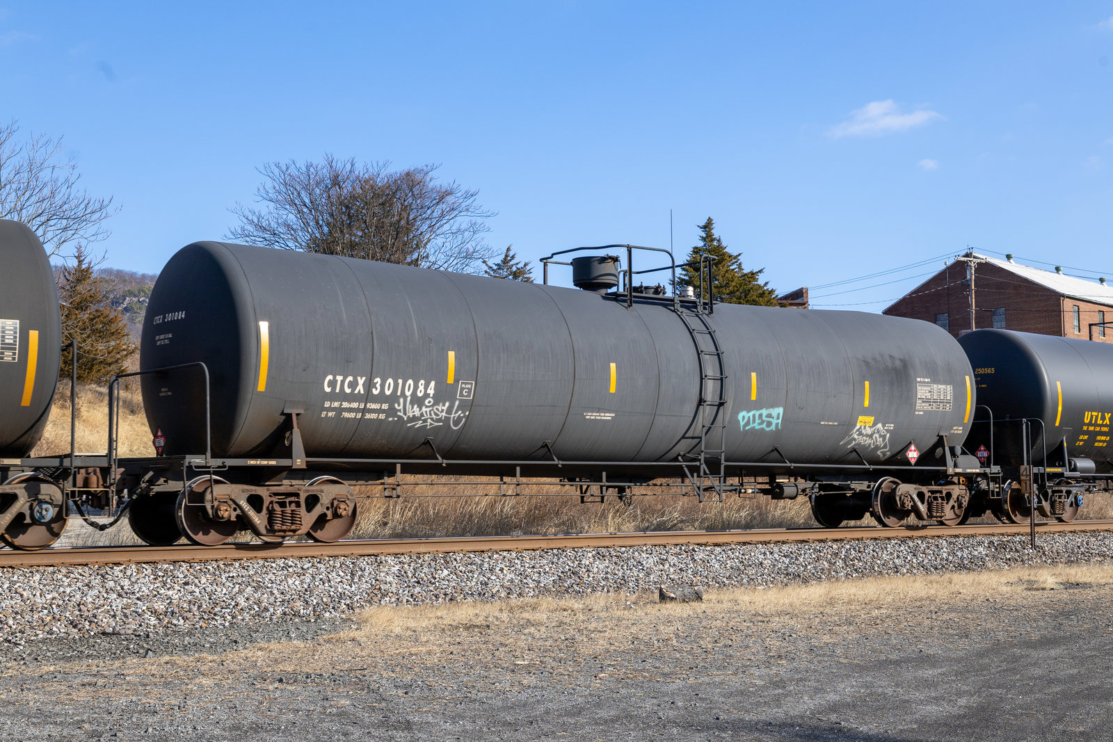 CTCX 301084