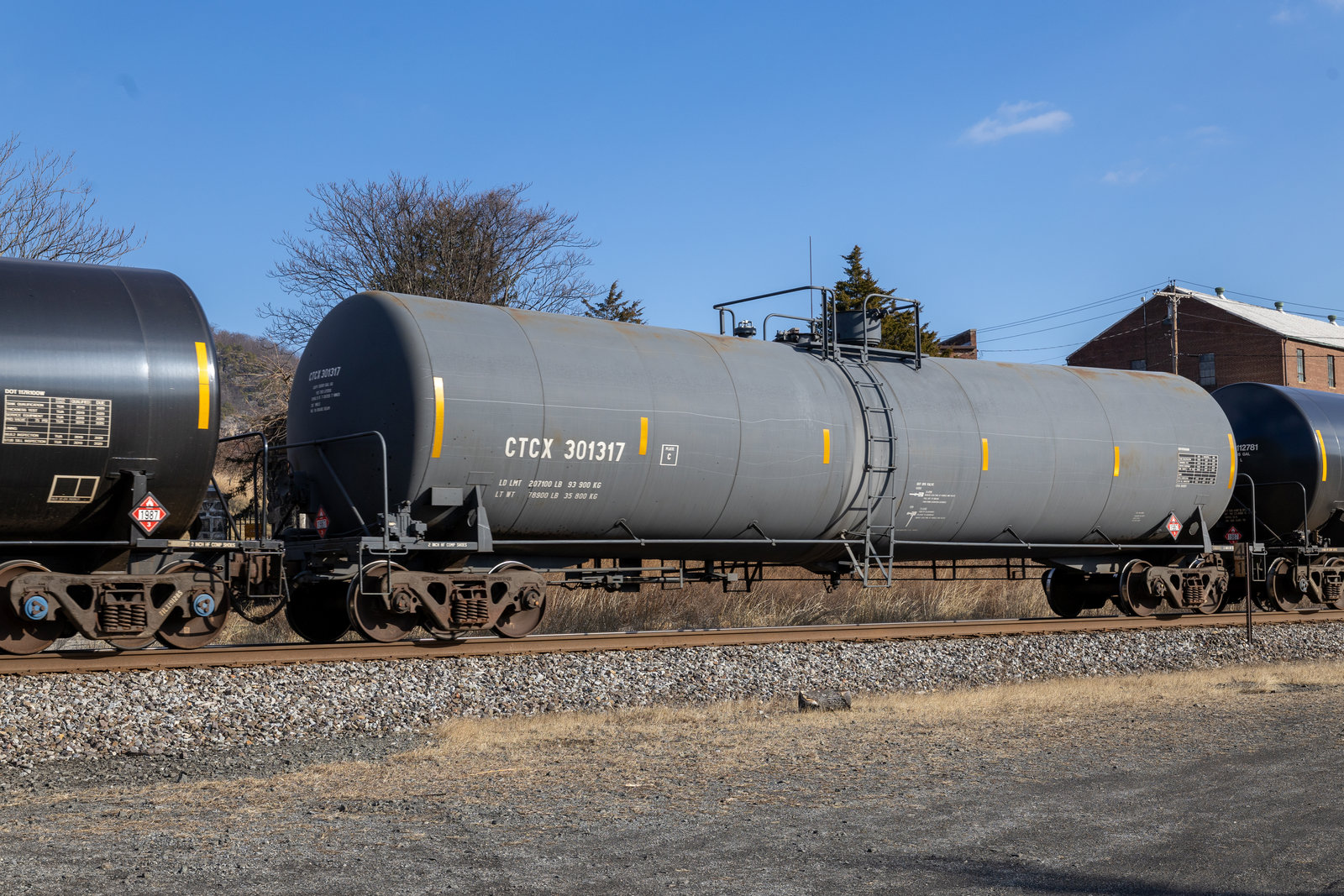 CTCX 301317