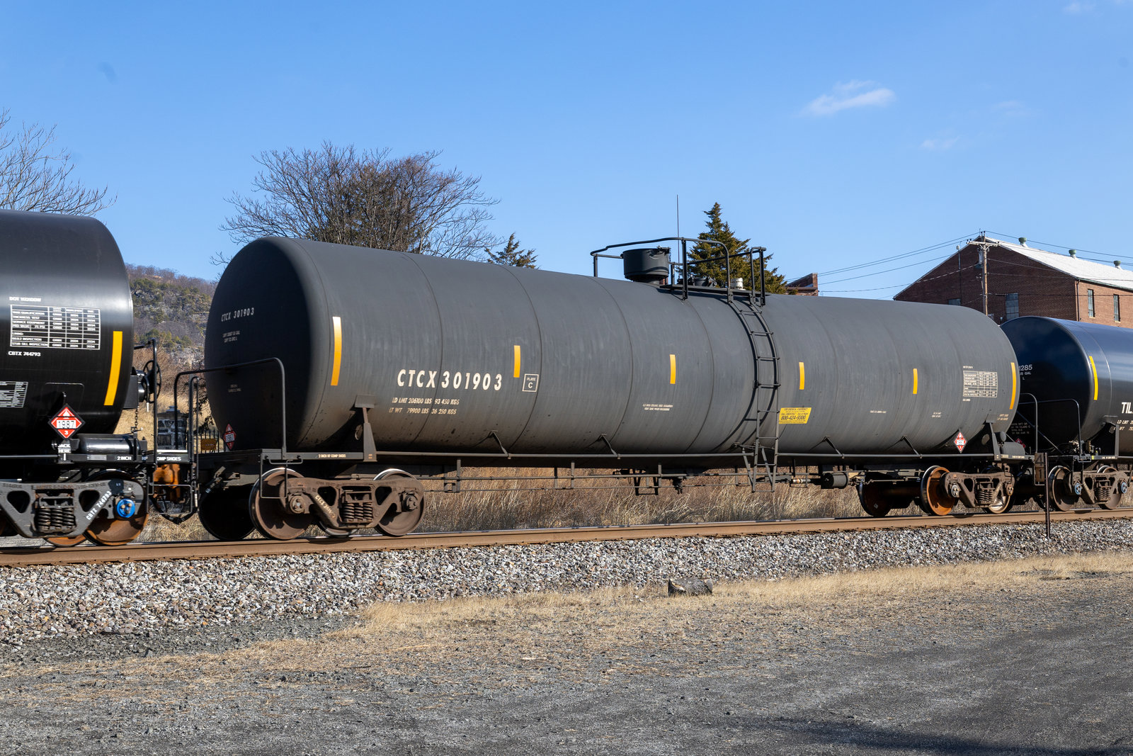 CTCX 301903