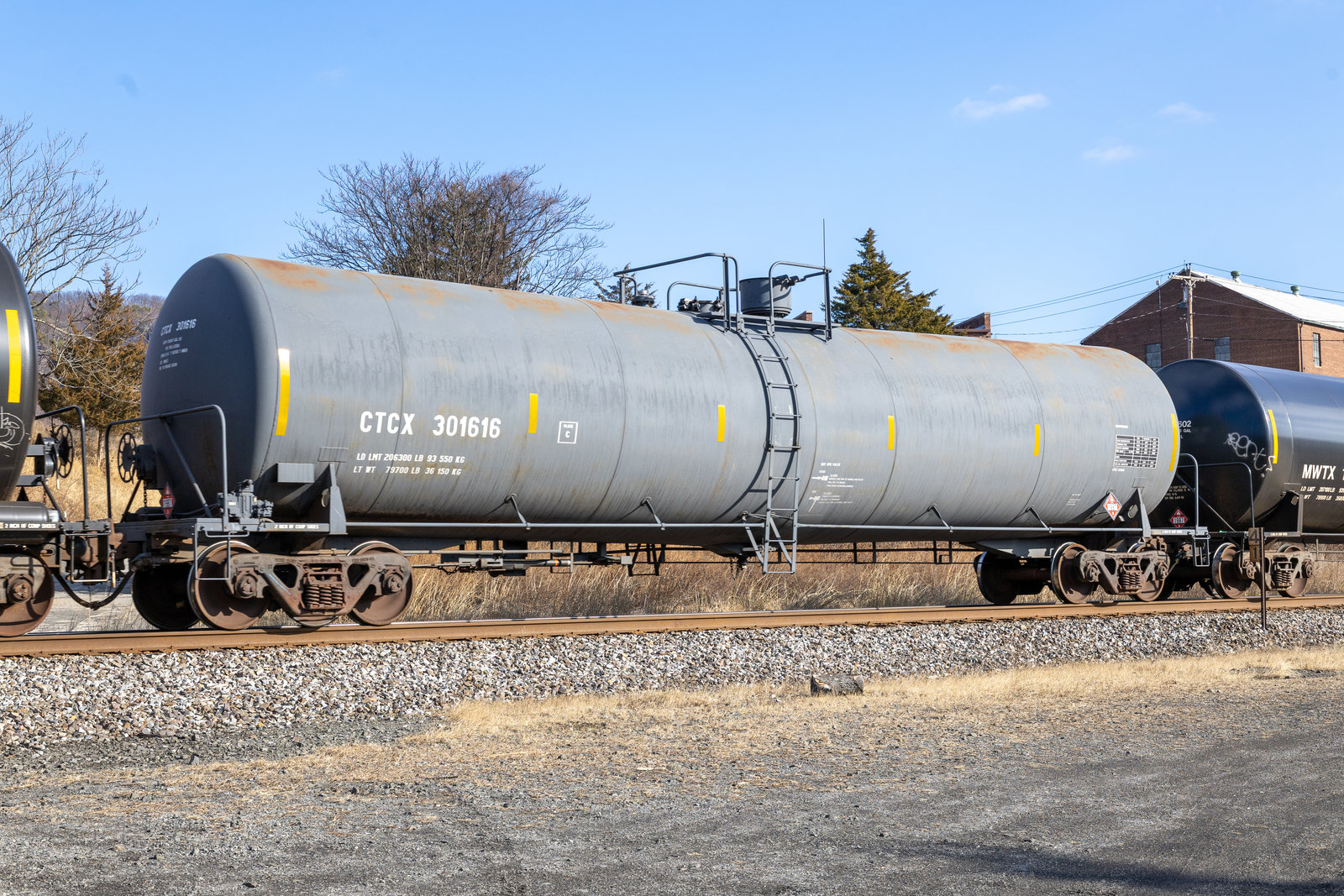 CTCX 301616