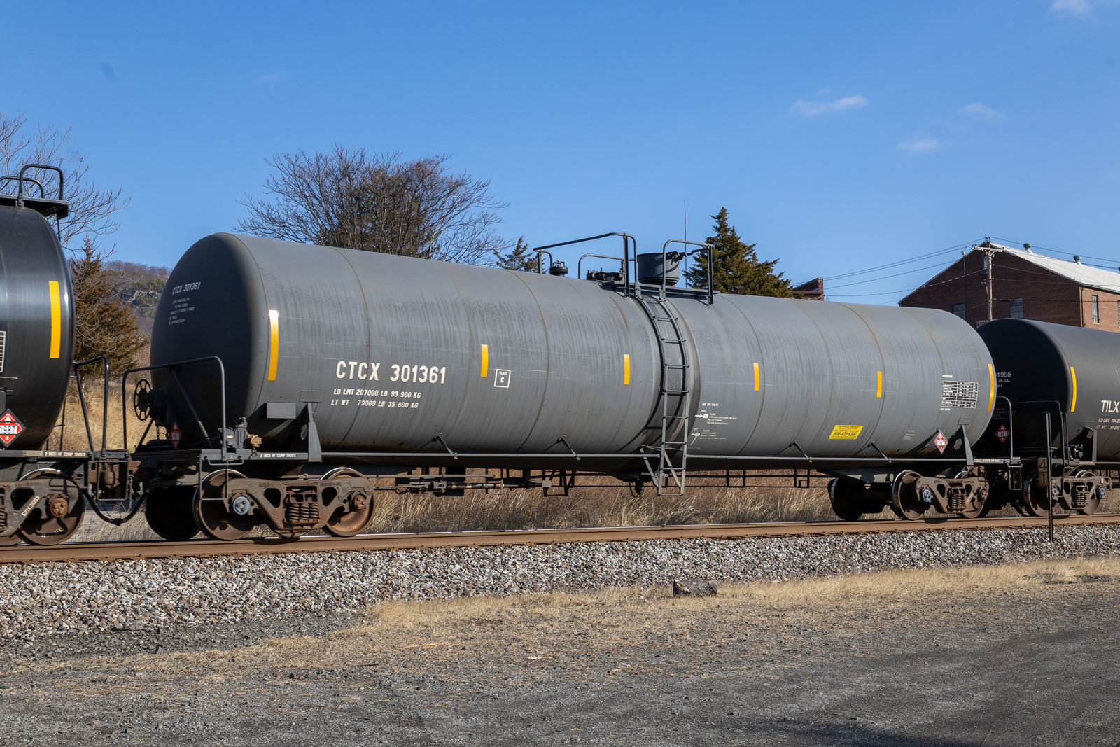 CTCX 301361