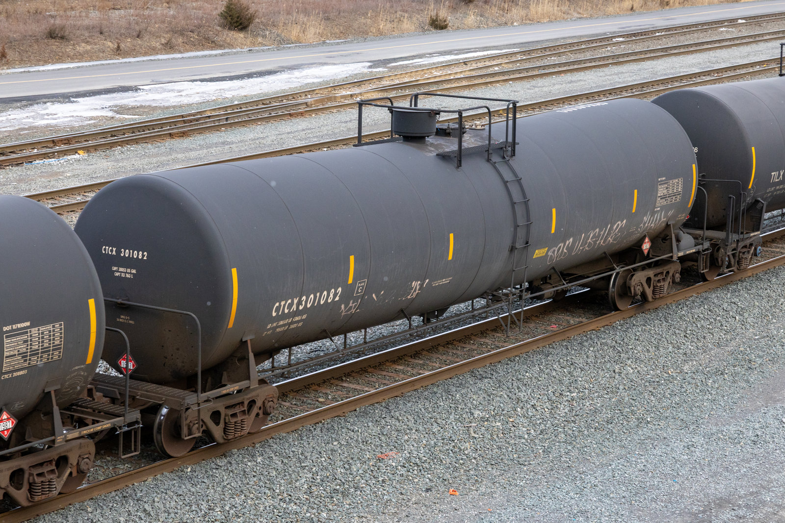 CTCX 301082