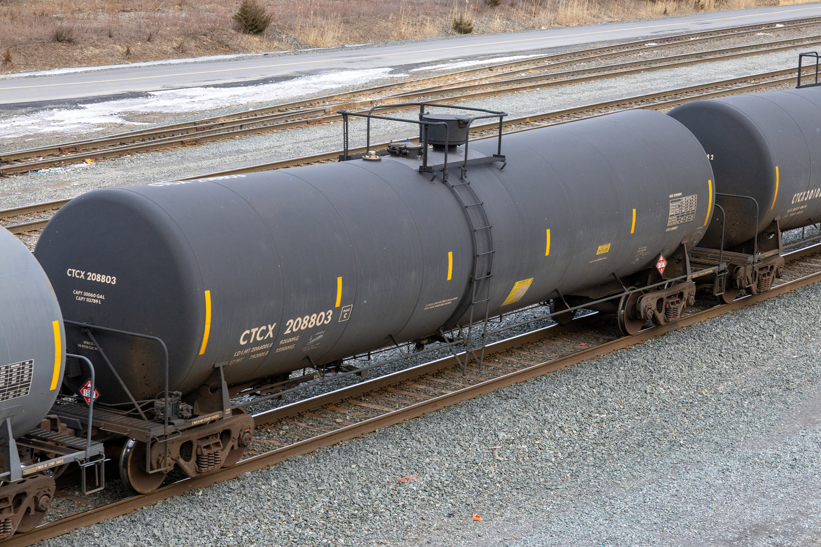 CTCX 208803