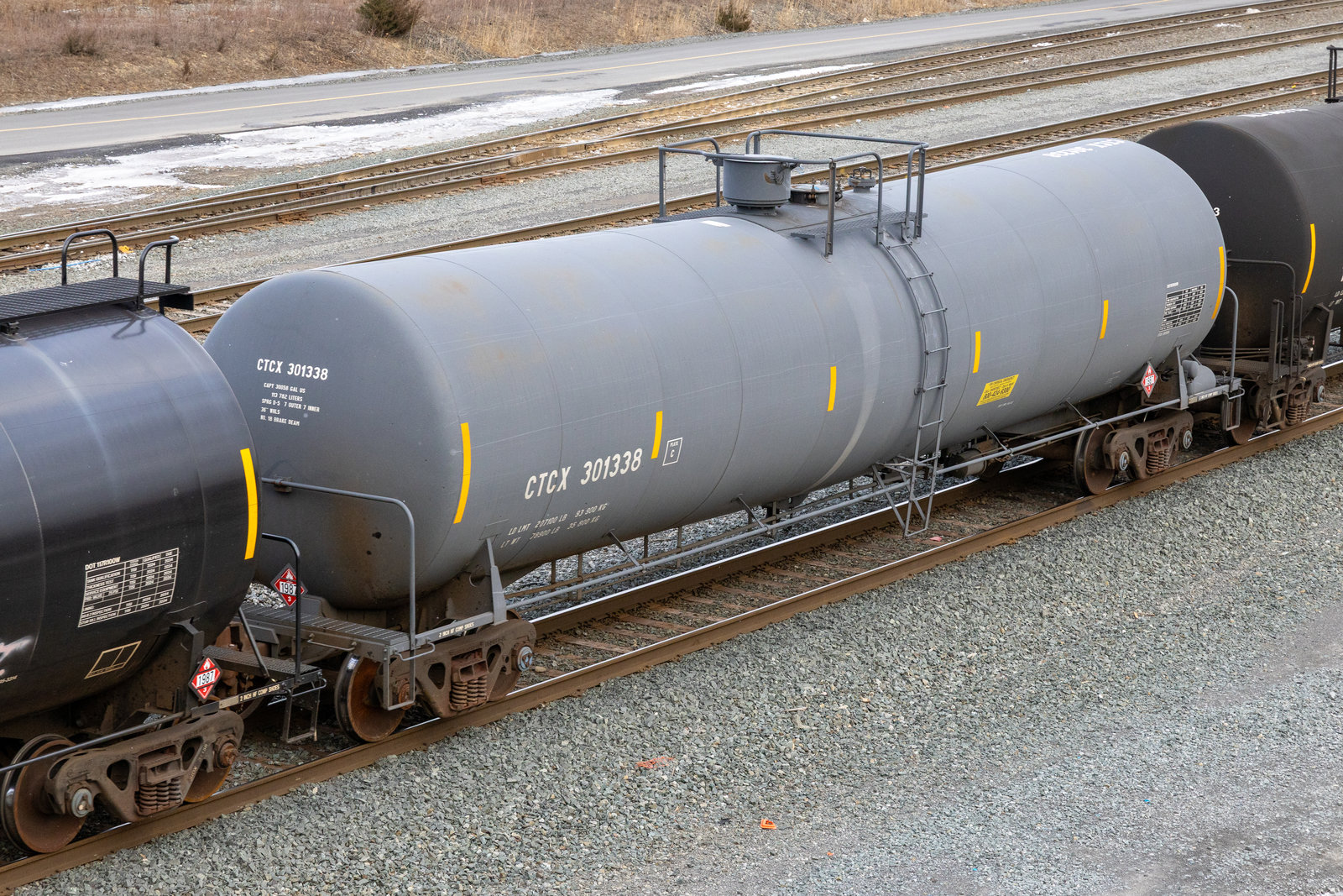 CTCX 301338