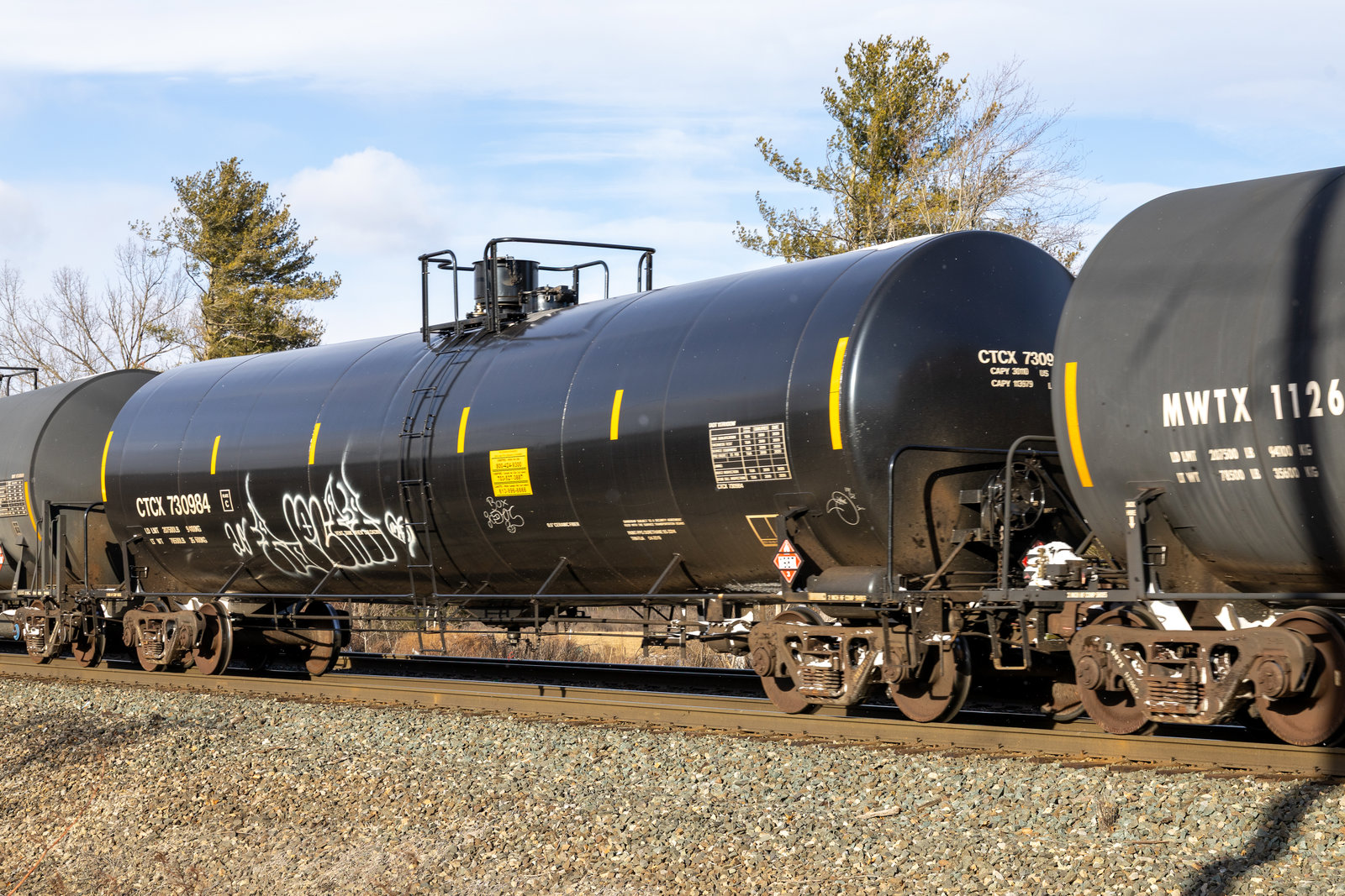 CTCX 730984