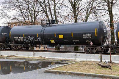 CTCX 731287
