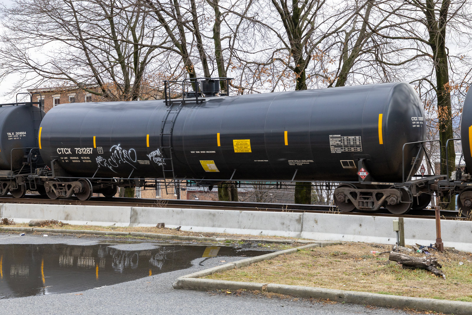 CTCX 731287