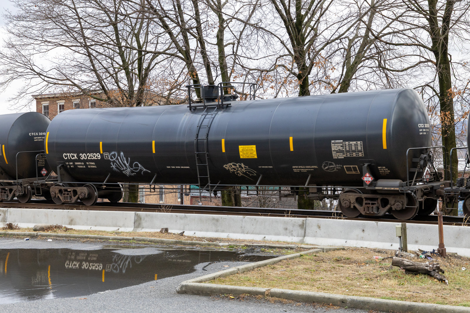 CTCX 302529