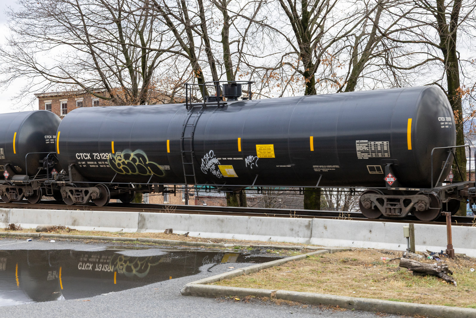 CTCX 731291