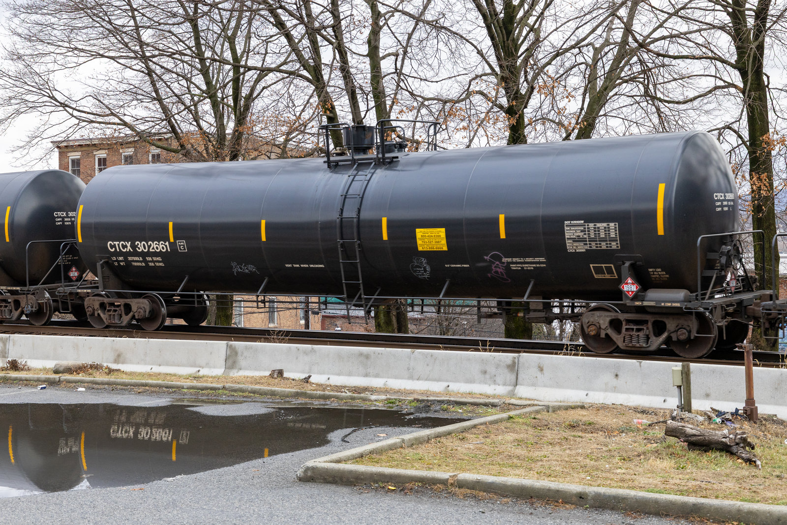 CTCX 302661