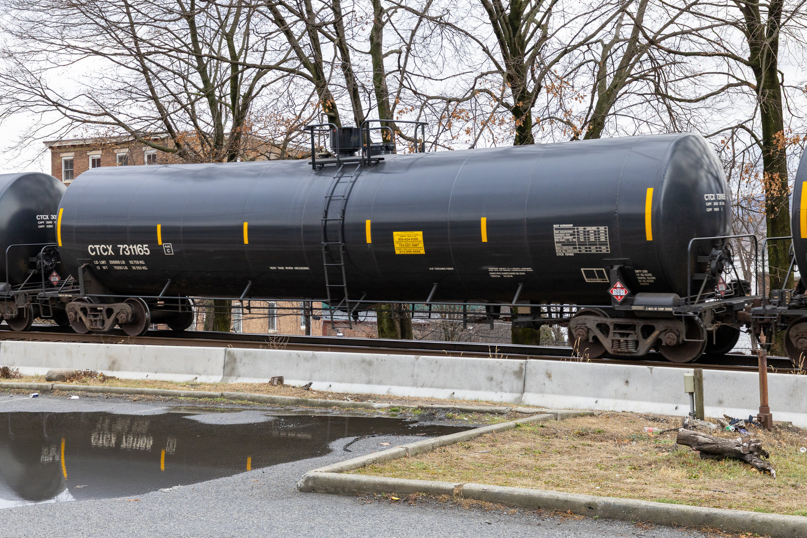 CTCX 731165