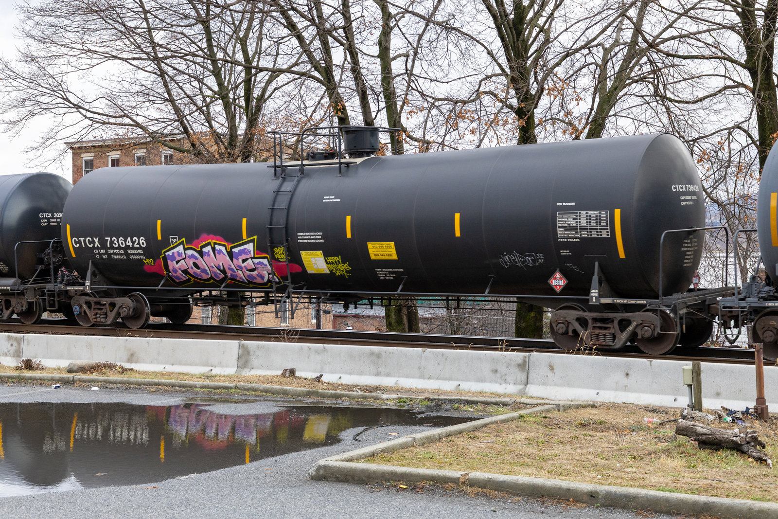 CTCX 736426