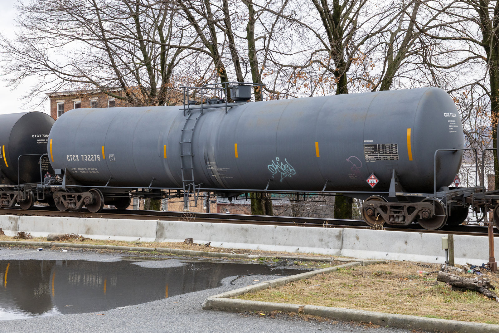 CTCX 732276