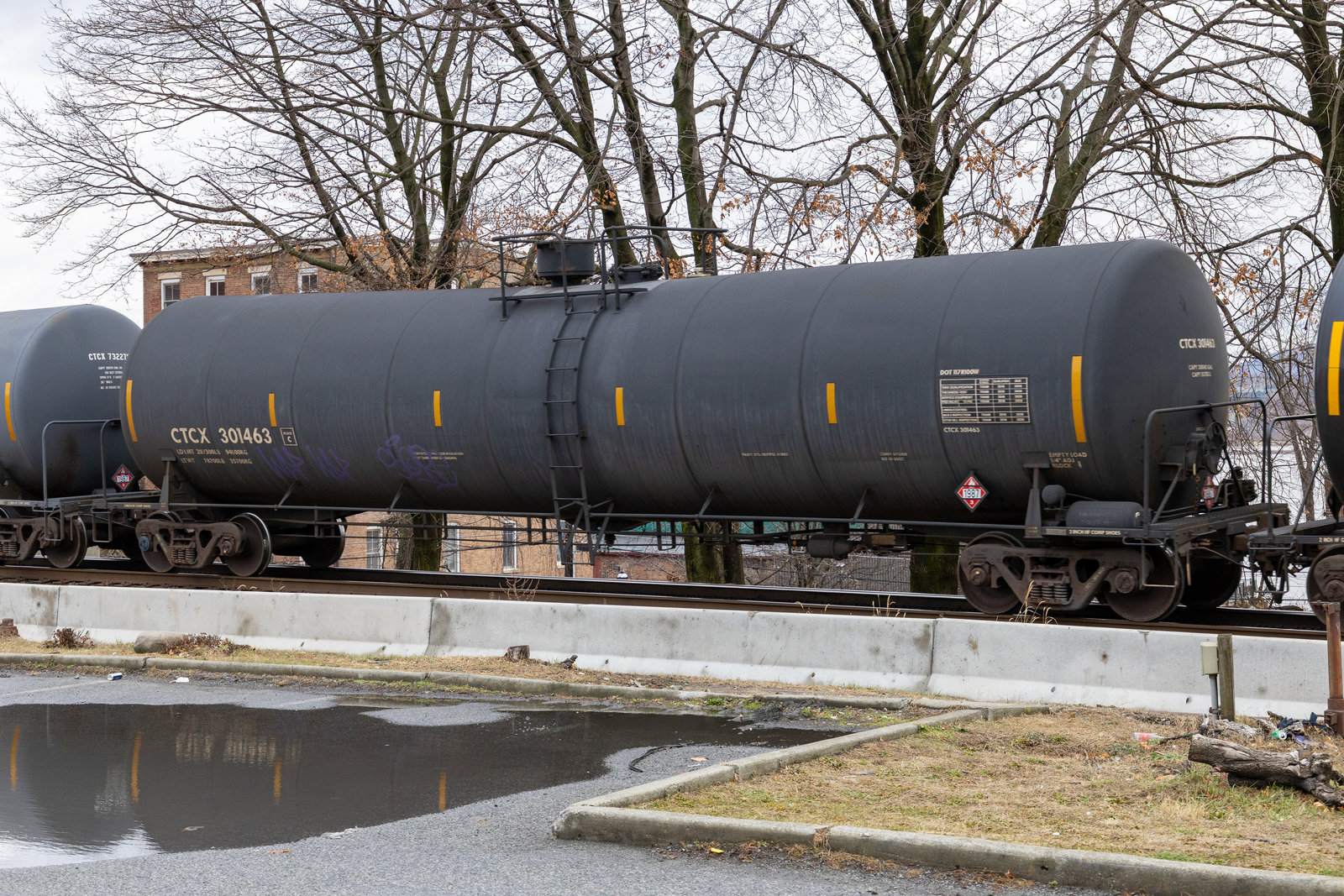 CTCX 301463