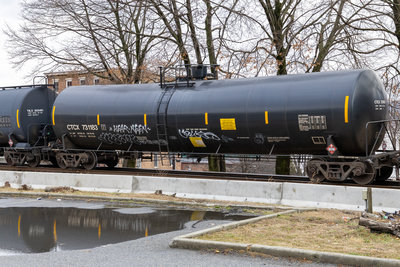 CTCX 731183