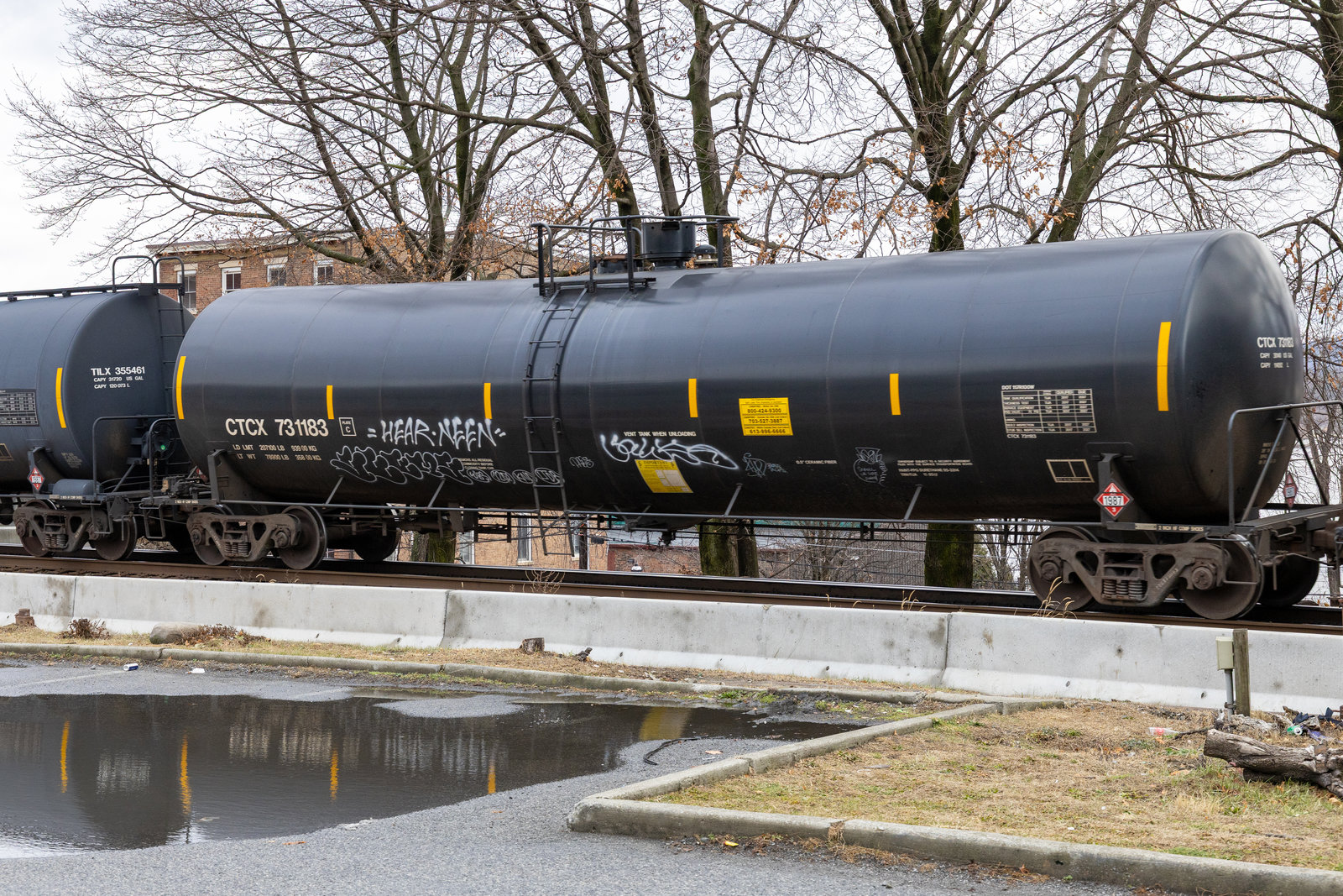 CTCX 731183