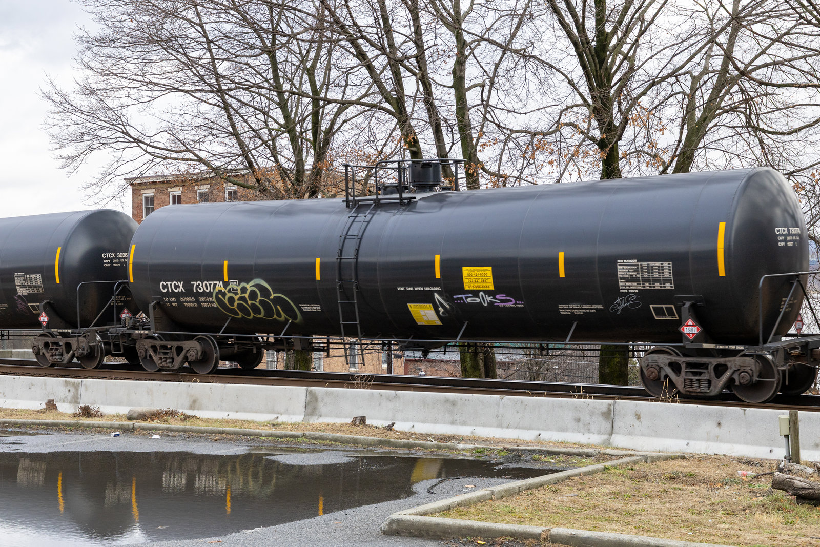 CTCX 730774