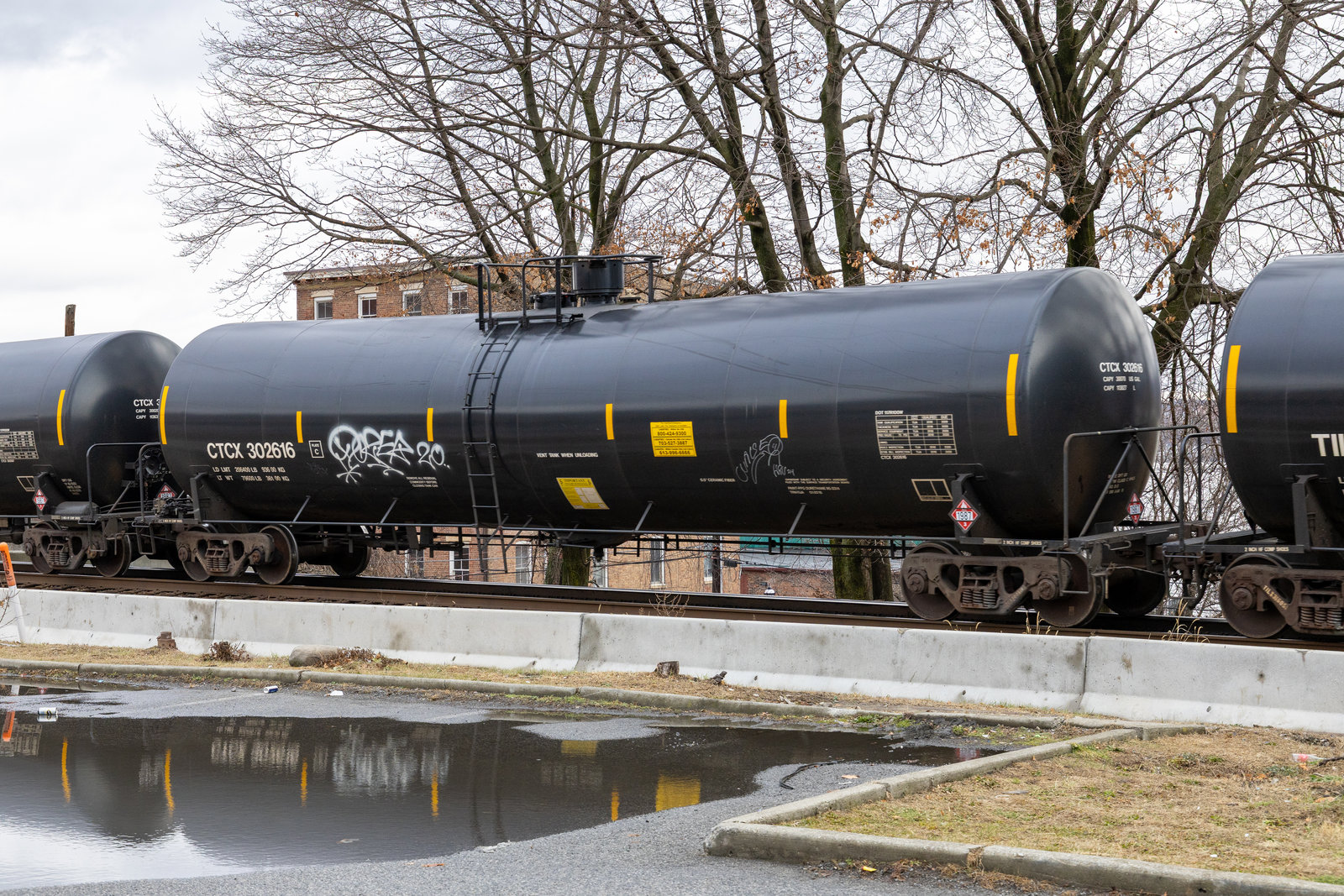 CTCX 302616