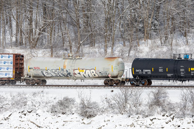 UTLX 205335