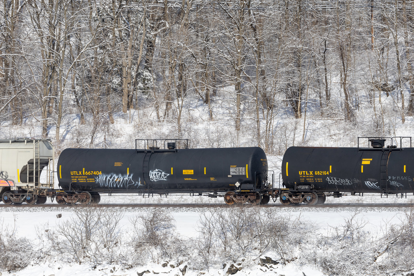 UTLX 667404