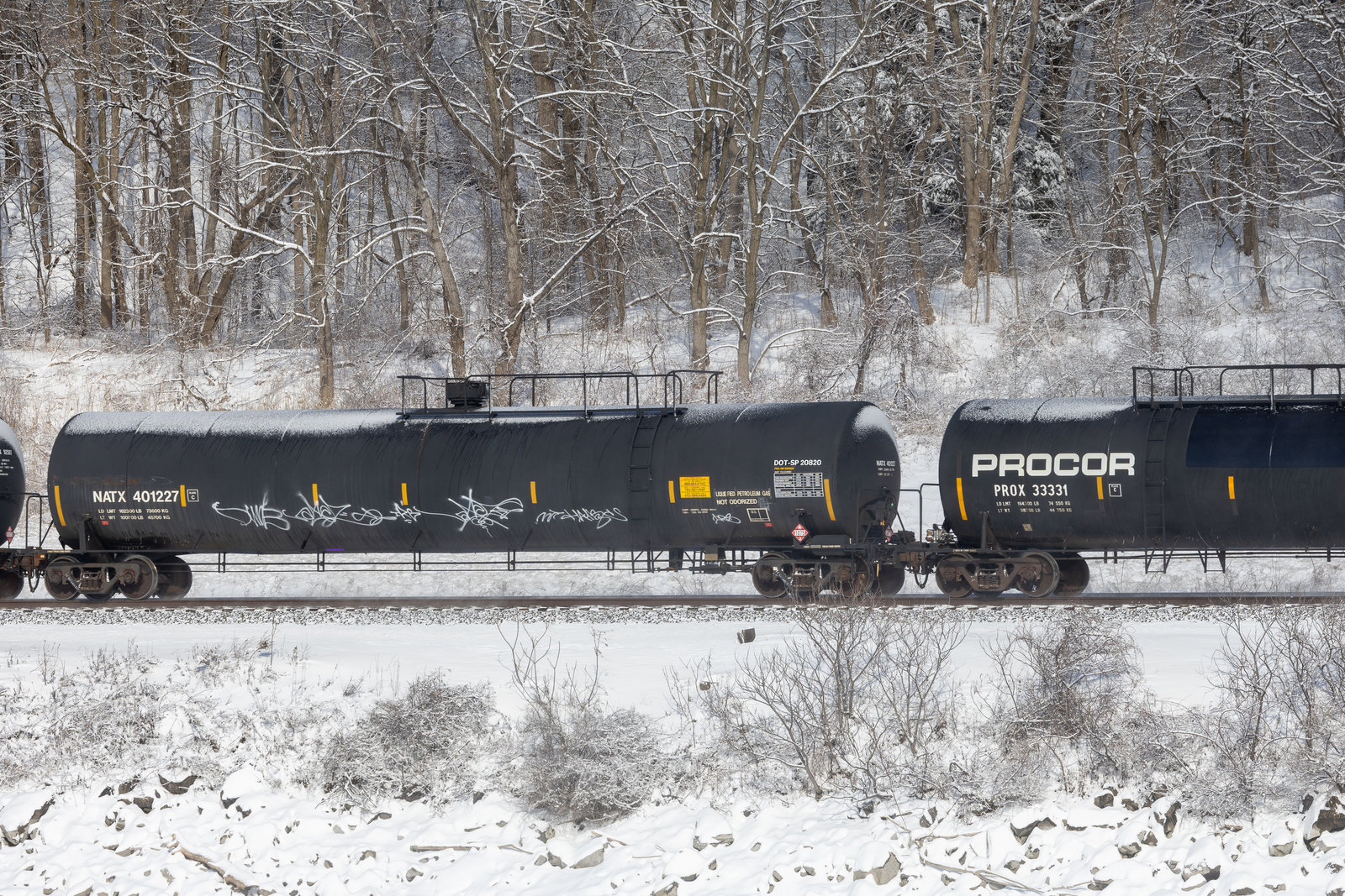 NATX 401227