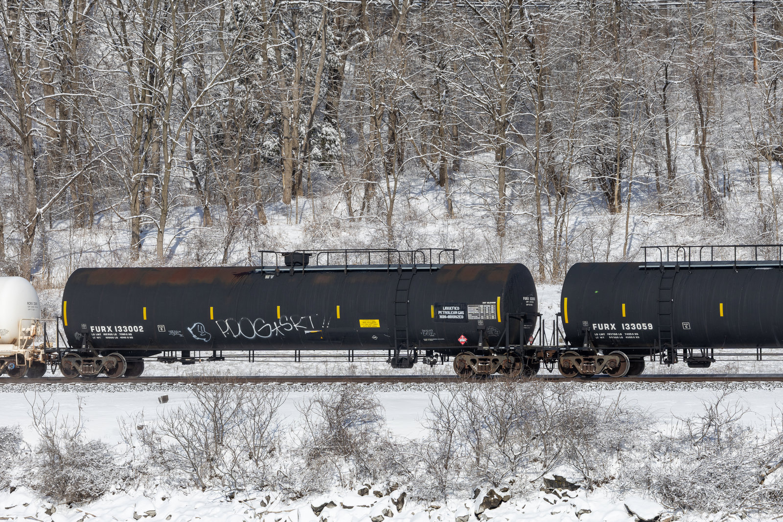 FURX 133002