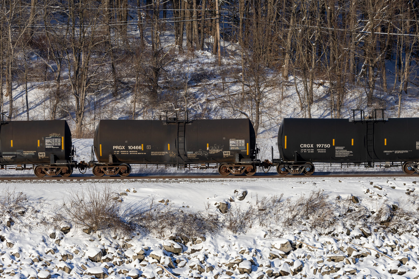 PRGX 10466
