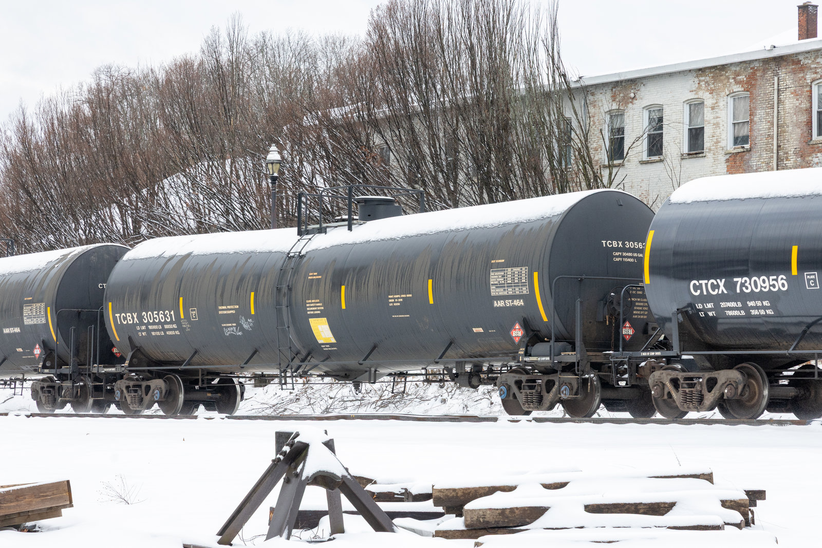 TCBX 305631