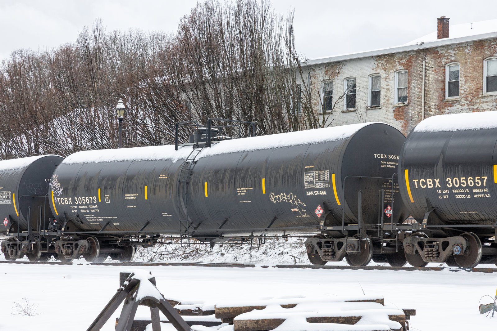 TCBX 305673