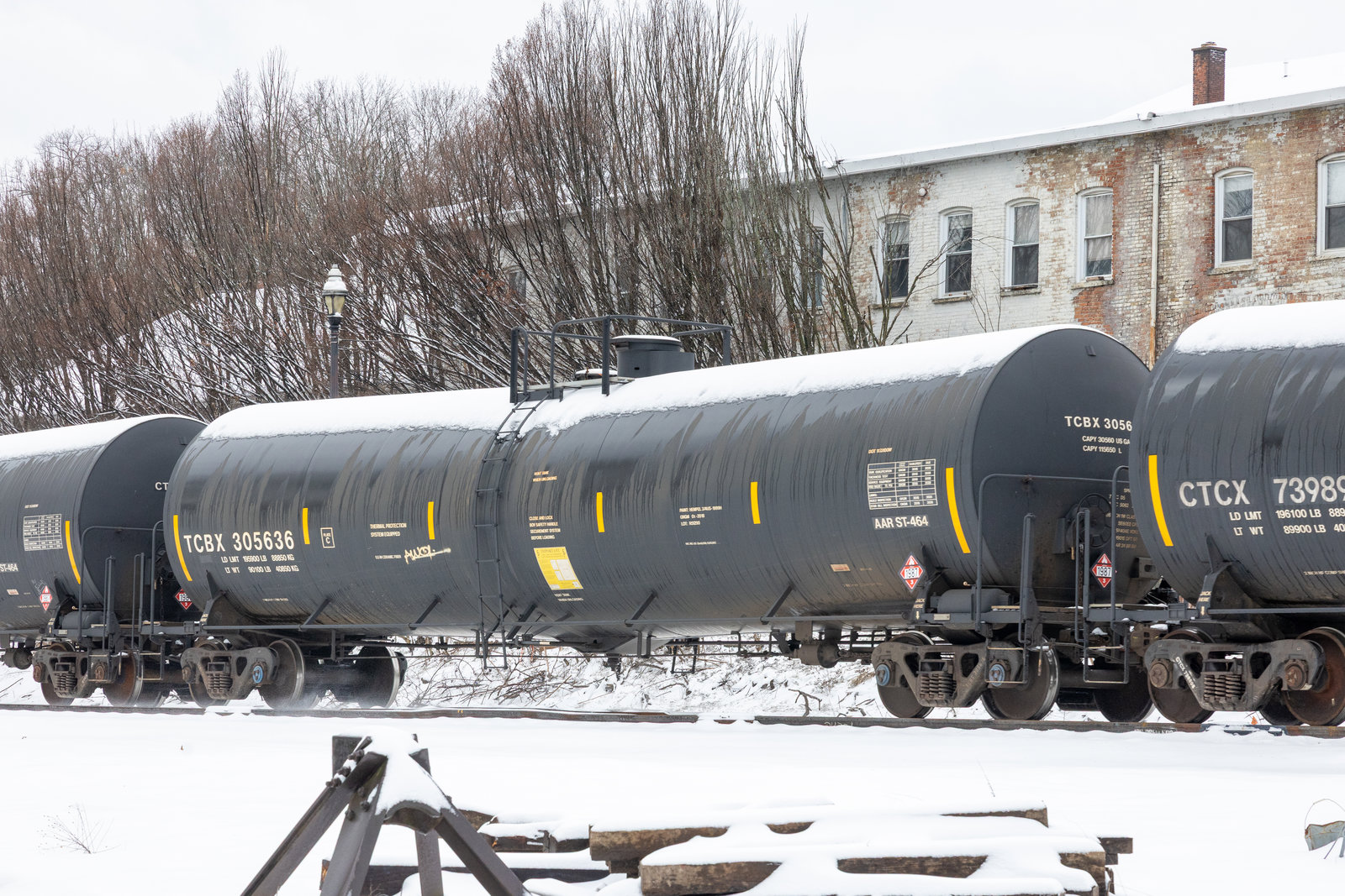 TCBX 305636