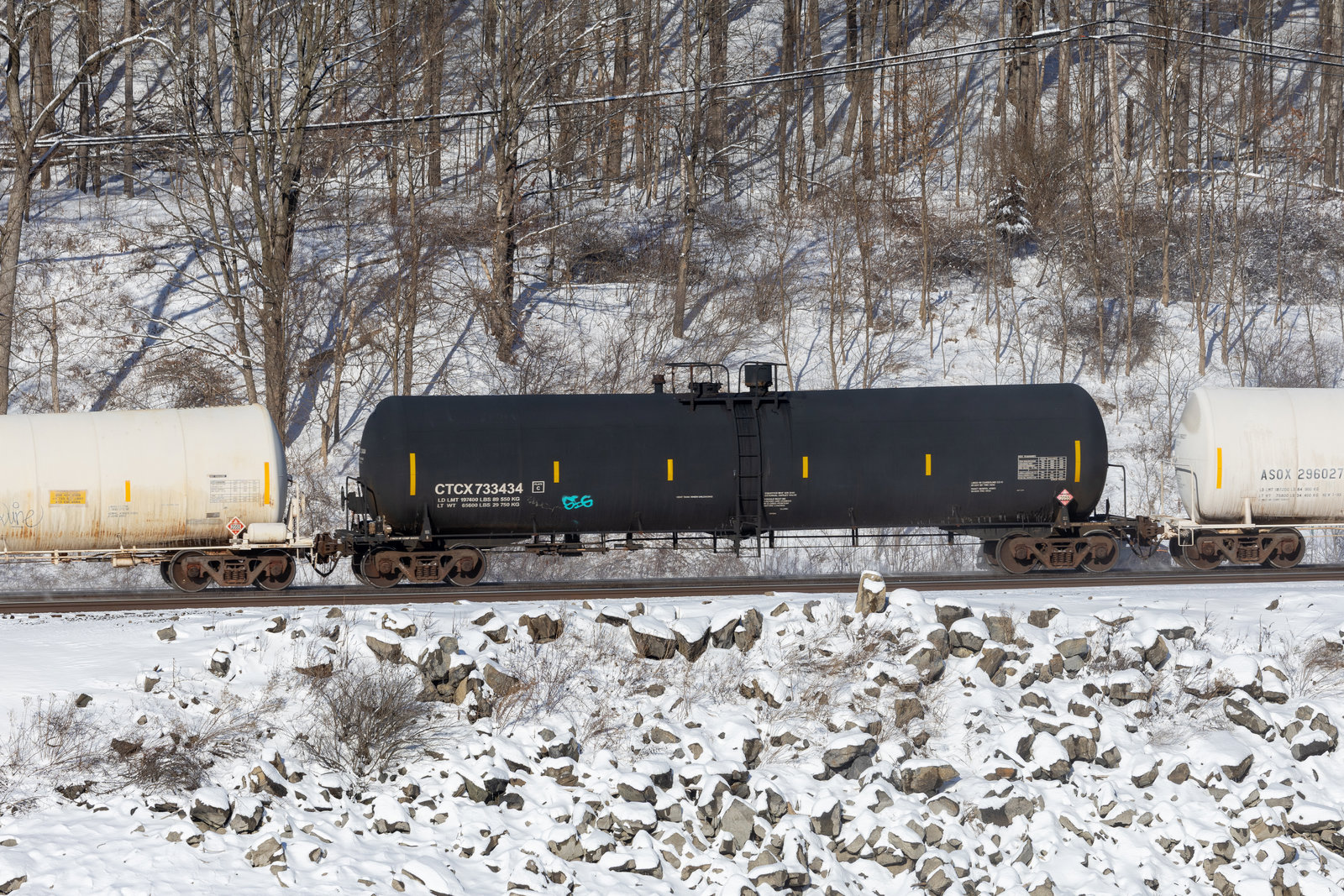 CTCX 733434