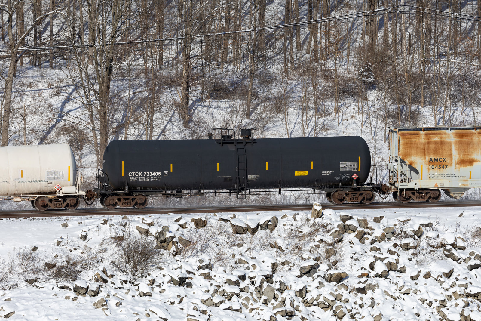 CTCX 733405