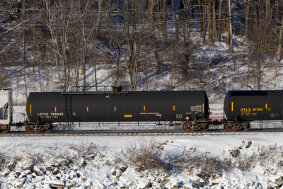 CTCX 780448