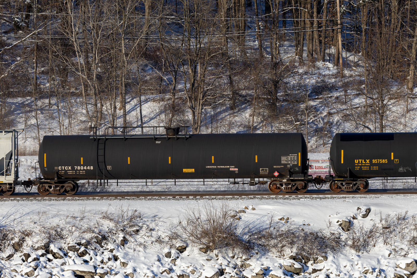 CTCX 780448
