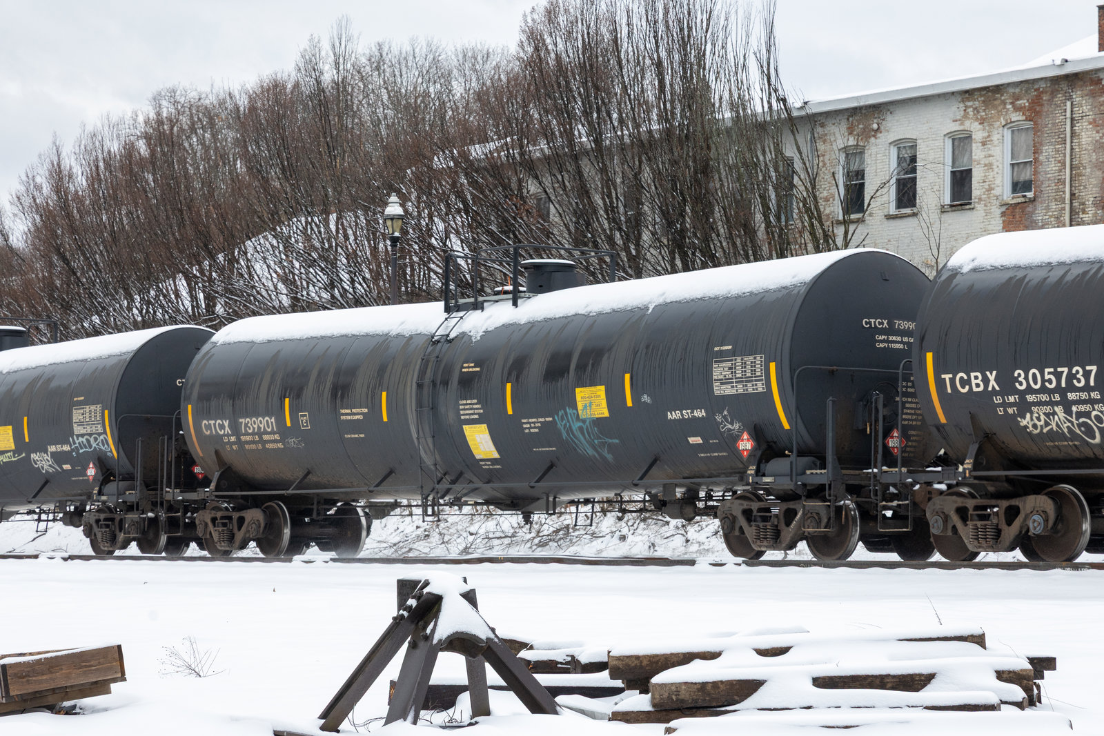 CTCX 739901