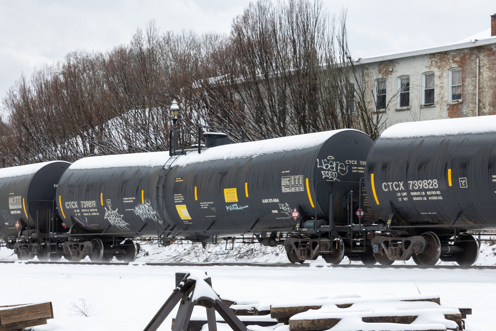 CTCX 739819