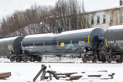 CTCX 730956