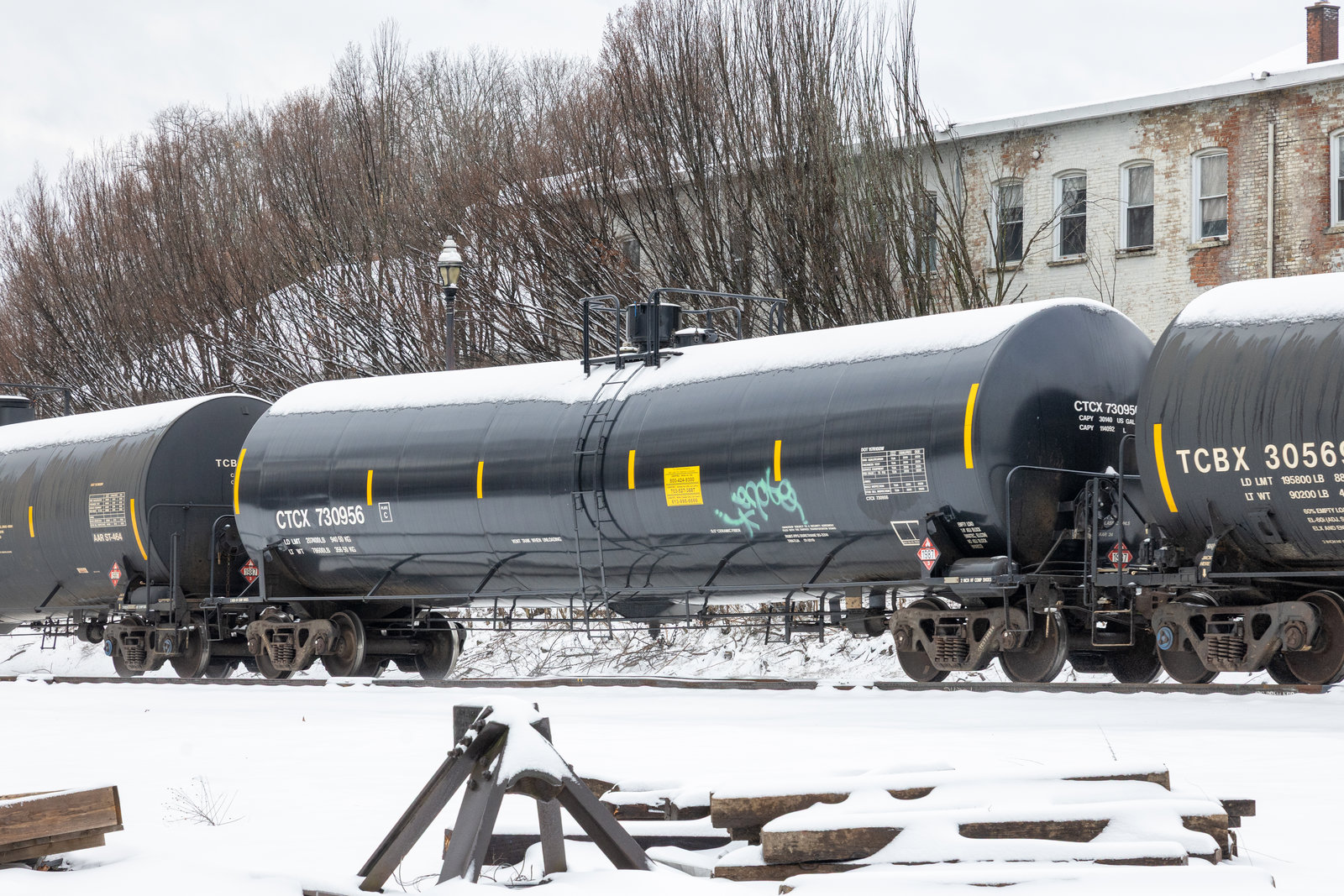CTCX 730956