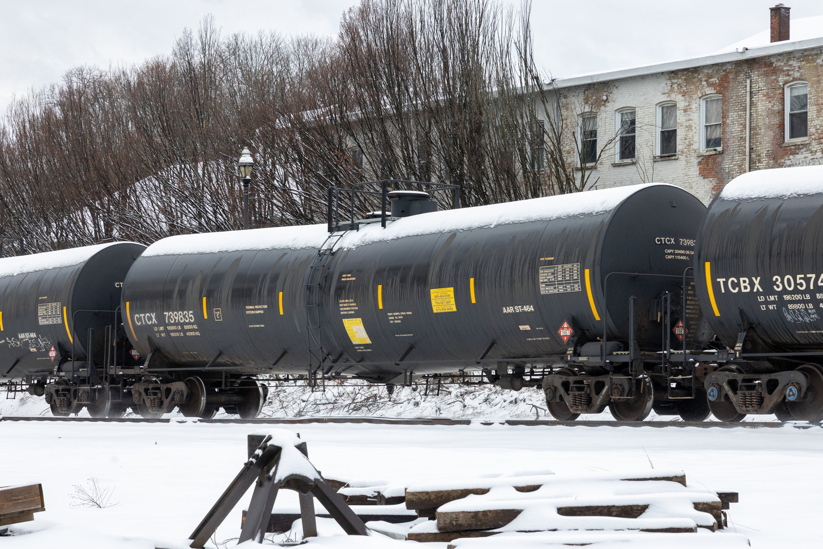 CTCX 739835