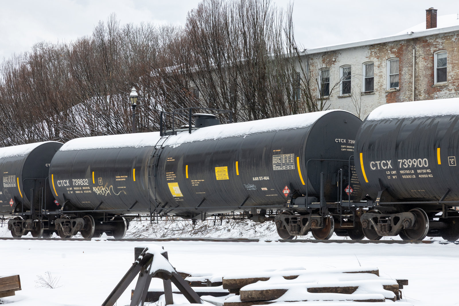 CTCX 739832