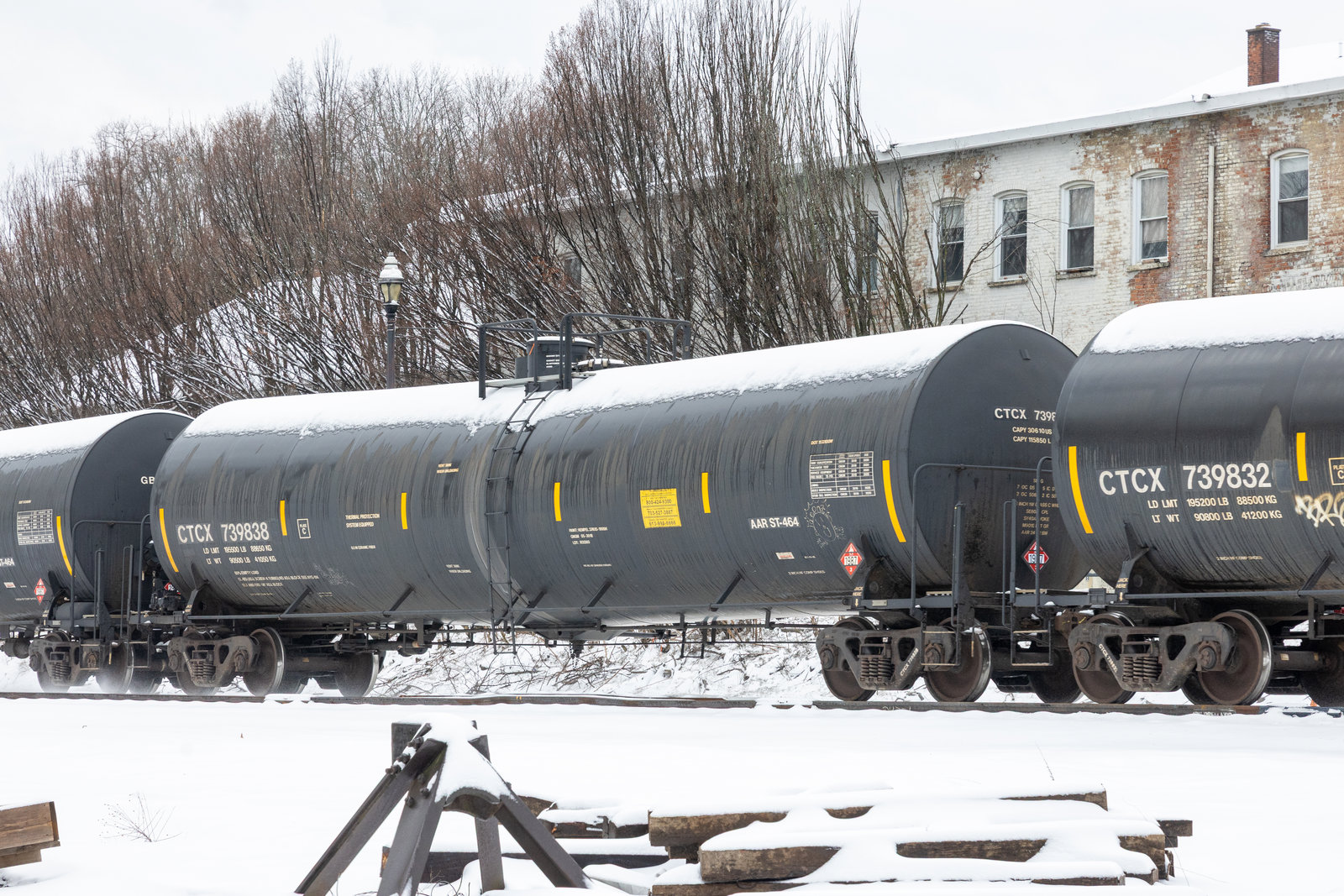 CTCX 739838