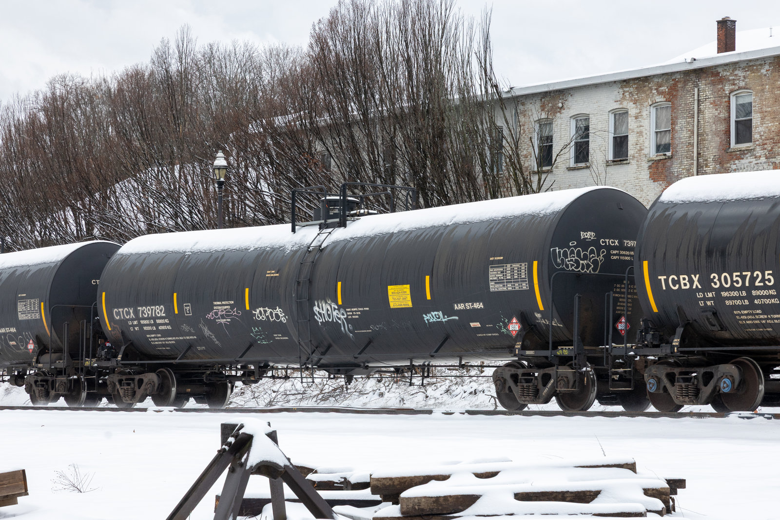 CTCX 739782
