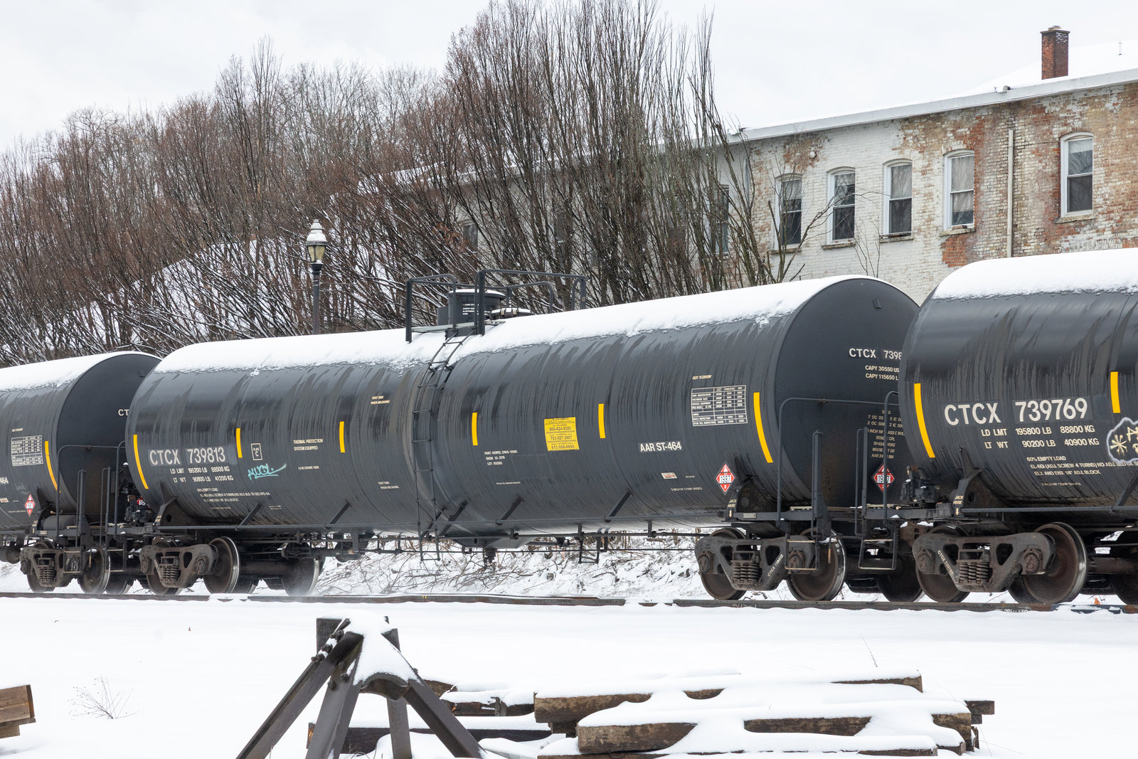 CTCX 739813