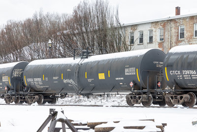 CTCX 739783